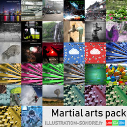 Bruitages Arts martiaux Categorie PACKS