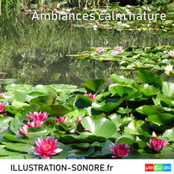 Ambiances nature calme Categorie NATURE